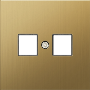 Накладка для розетки 2-м RJ45 Матовое золото R98 METAL Donel