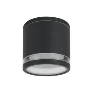 Фасадный светильник A1910PF-1BK Arte Lamp