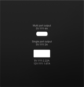 Накладка для розетки USB A+C Матовый карбон R98 Donel