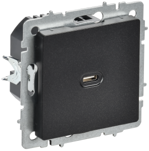Розетка USB С 65Вт С/У Черный Brite