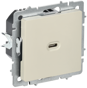 Розетка USB С 65Вт С/У Бежевый Brite