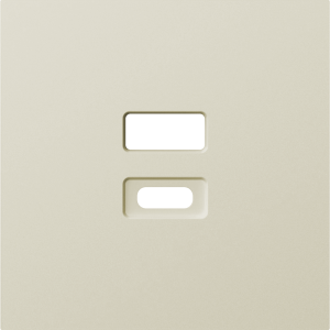 Накладка для USB розеток Шампань A07 Donel