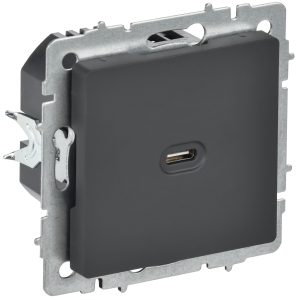 Розетка USB С 65Вт С/У Графит Brite