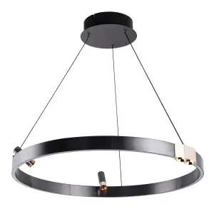 Подвесная люстра CESARE A1993SP-30BK<br/> Arte Lamp