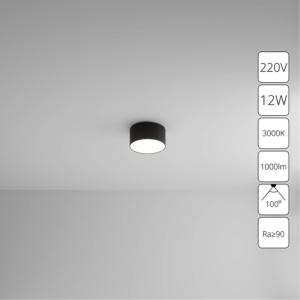 Потолочный светильник Fado A7312PL-1BK Arte Lamp