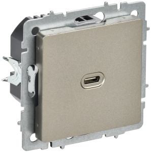 Розетка USB С 65Вт С/У Шампань Brite