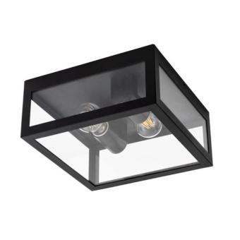 Потолочный светильник A4569PF-2BK Arte Lamp