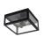 Потолочный светильник A4569PF-2BK Arte Lamp