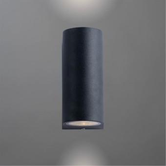 Фасадный светильник A3102AL-2BK Arte Lamp