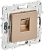 Розетка RJ45 кат.6 С/У Песочный Skandy