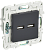 Розетка USB А+А 3,1А С/У Графит Skandy