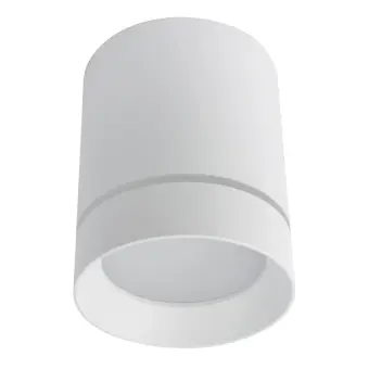 Накладной светильник A1909PL-1WH Arte Lamp
