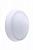 Светильник светодиодный ДПБ 20Вт WT045C LED20/NW PSU CFW L1665 200мм IP65 Philips 871016333530899