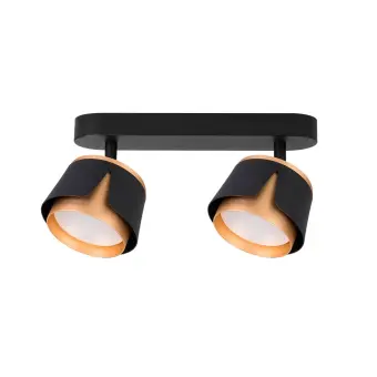Спот Amaks A8028PL-2BK Arte Lamp