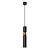 Подвесной светильник Ran A3162SP-1BK Arte Lamp