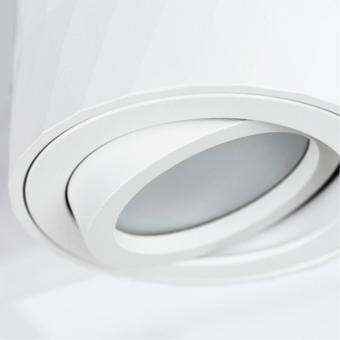Накладной светильник A5559PL-1WH Arte Lamp