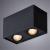 Накладной светильник A5544PL-2BK Arte Lamp