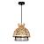 Подвесной светильник Woodstock A7070SP-1BK Arte Lamp