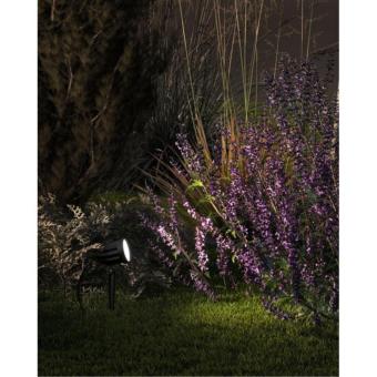 Грунтовый светильник Elsie A1127IN-1BK Arte Lamp