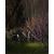 Грунтовый светильник Elsie A1127IN-1BK Arte Lamp