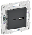 Розетка USB А+С 18Вт С/У Графит Skandy