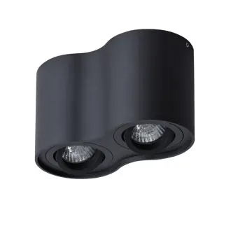 Накладной светильник A5645PL-2BK Arte Lamp