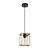 Подвесной светильник Dublin A7025SP-1BK Arte Lamp