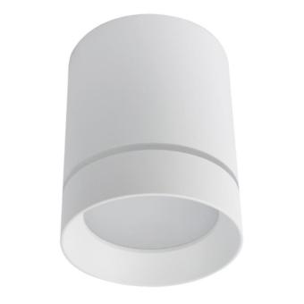Накладной светильник A1909PL-1WH Arte Lamp