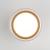 Потолочный светильник Light 35140/H 15W 4000K белый Elektrostandard