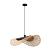 Подвесной светильник Woodstock A7063SP-1BK Arte Lamp