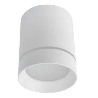 Накладной светильник A1949PL-1WH Arte Lamp