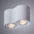 Накладной светильник A5645PL-2WH Arte Lamp